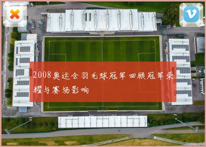 2008奥运会羽毛球冠军回顾冠军荣耀与赛场影响