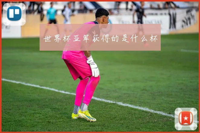 世界杯亚军获得的是什么杯